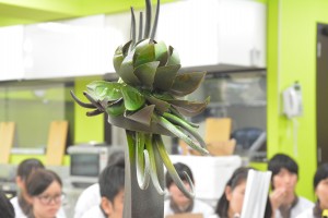 色づけ
